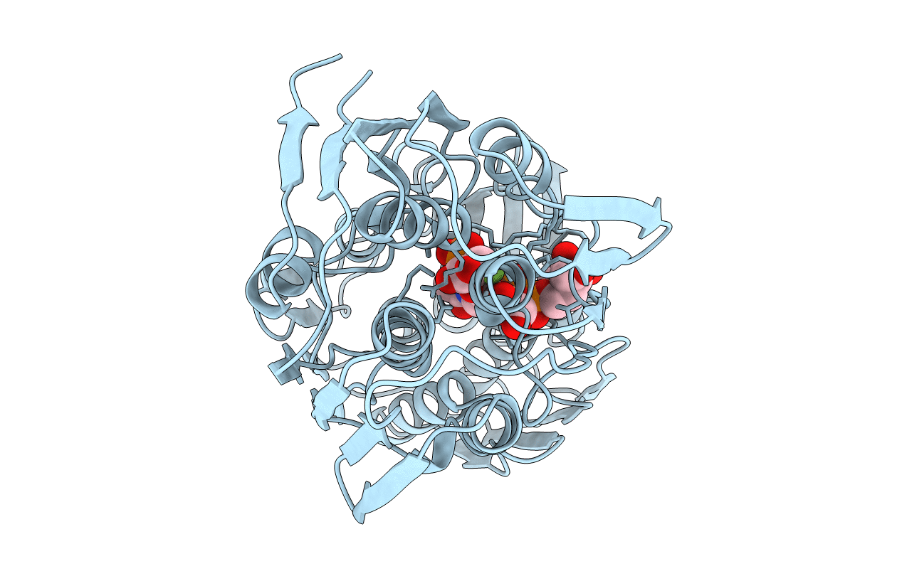 1A2N image