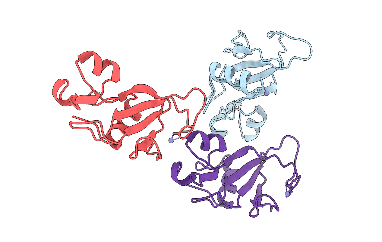 1A2P image