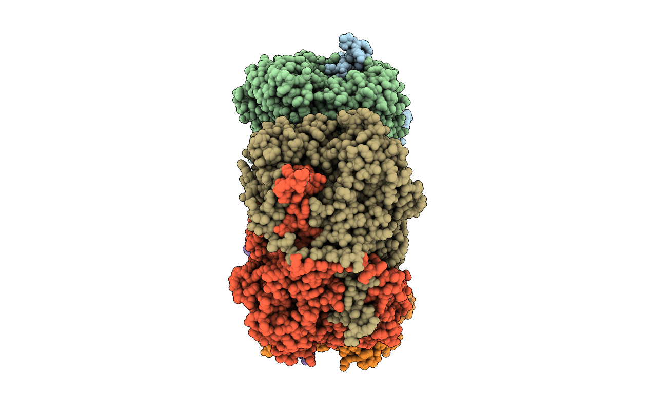 1A2V image