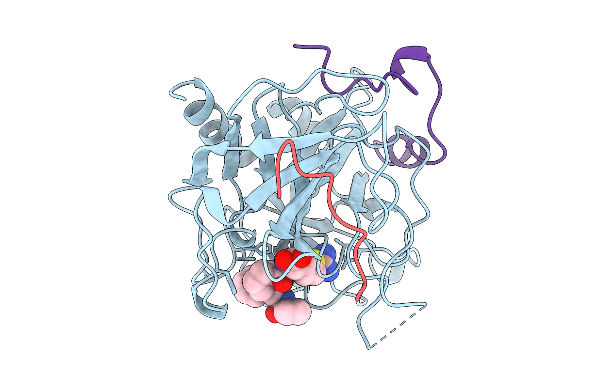 1A3B image