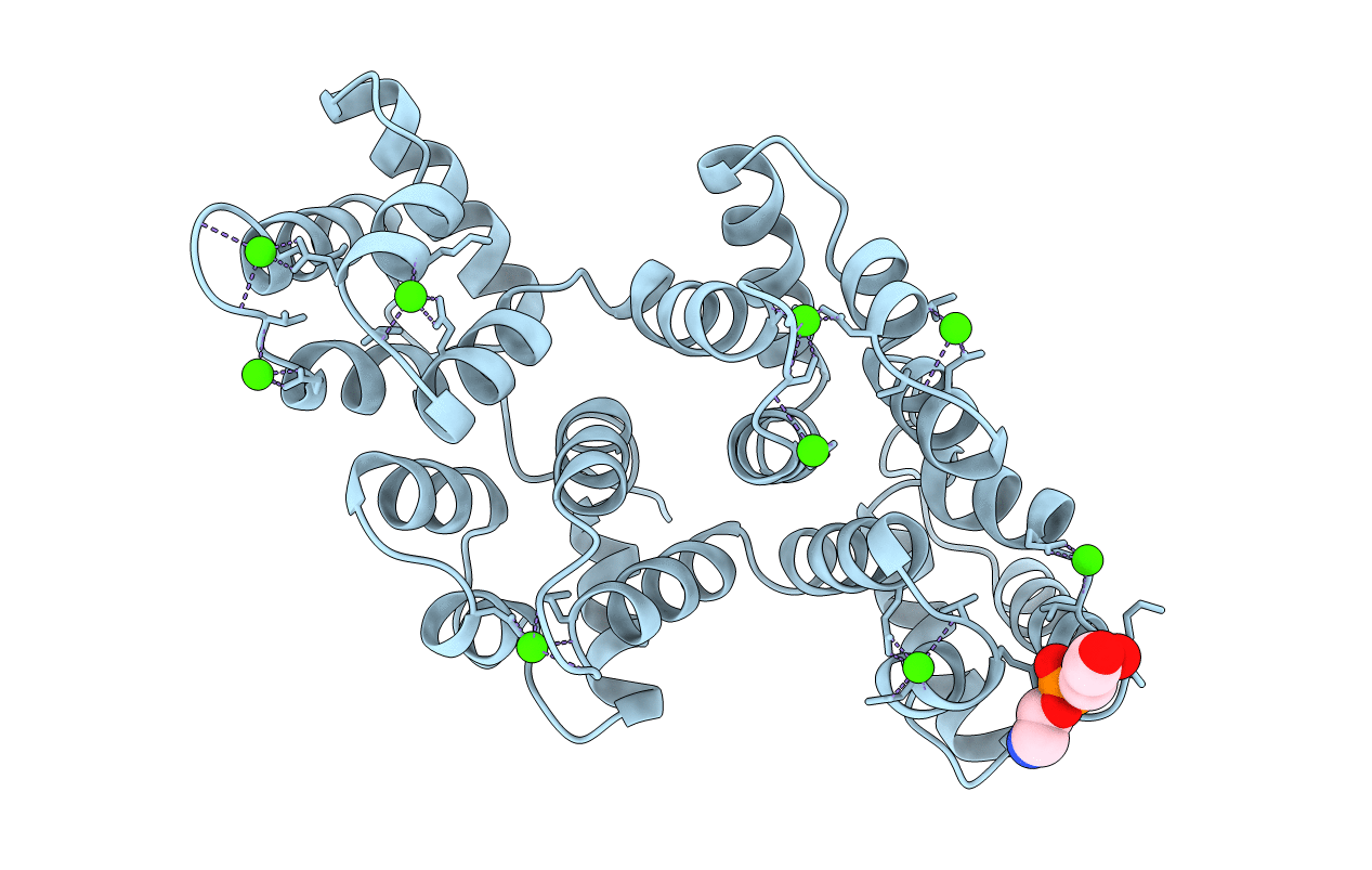 1A8B image