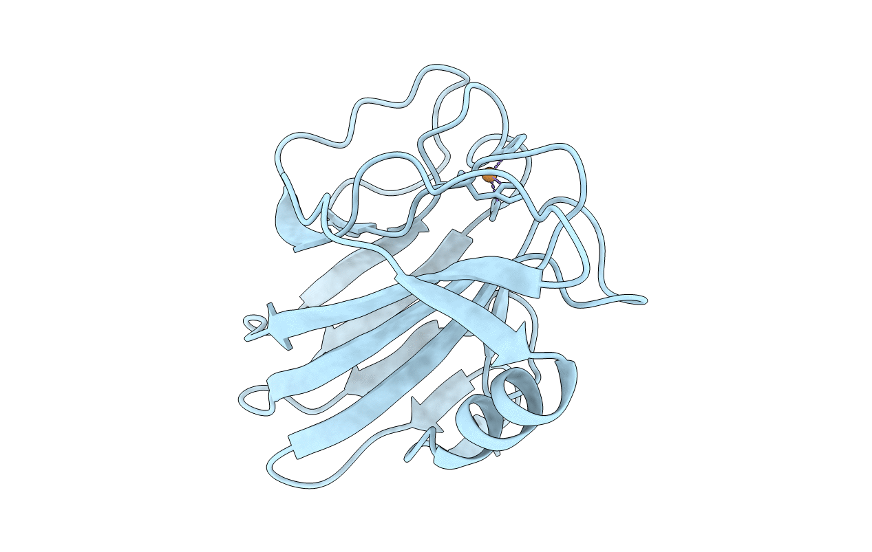 1A8Z image