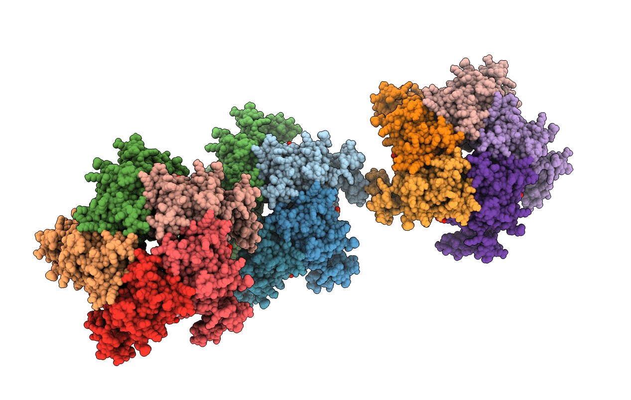 1A9C image
