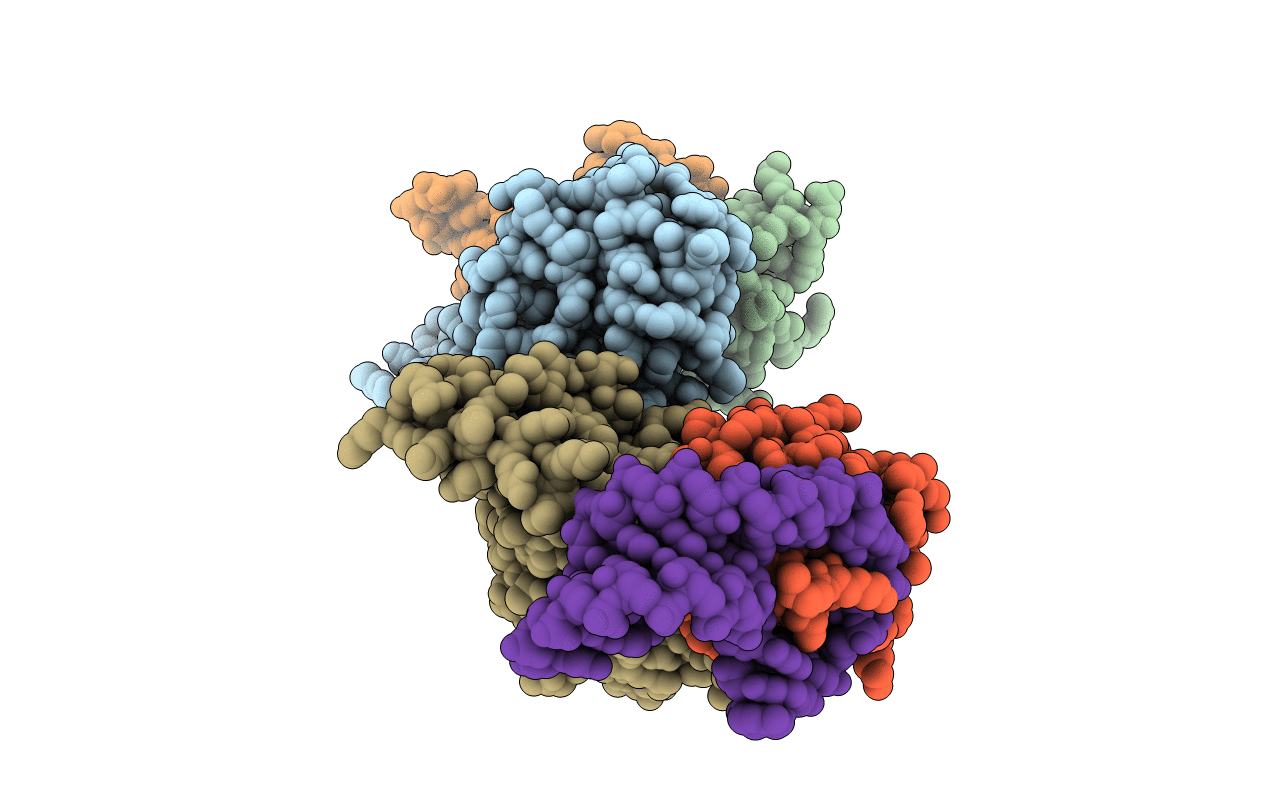 1A9N image