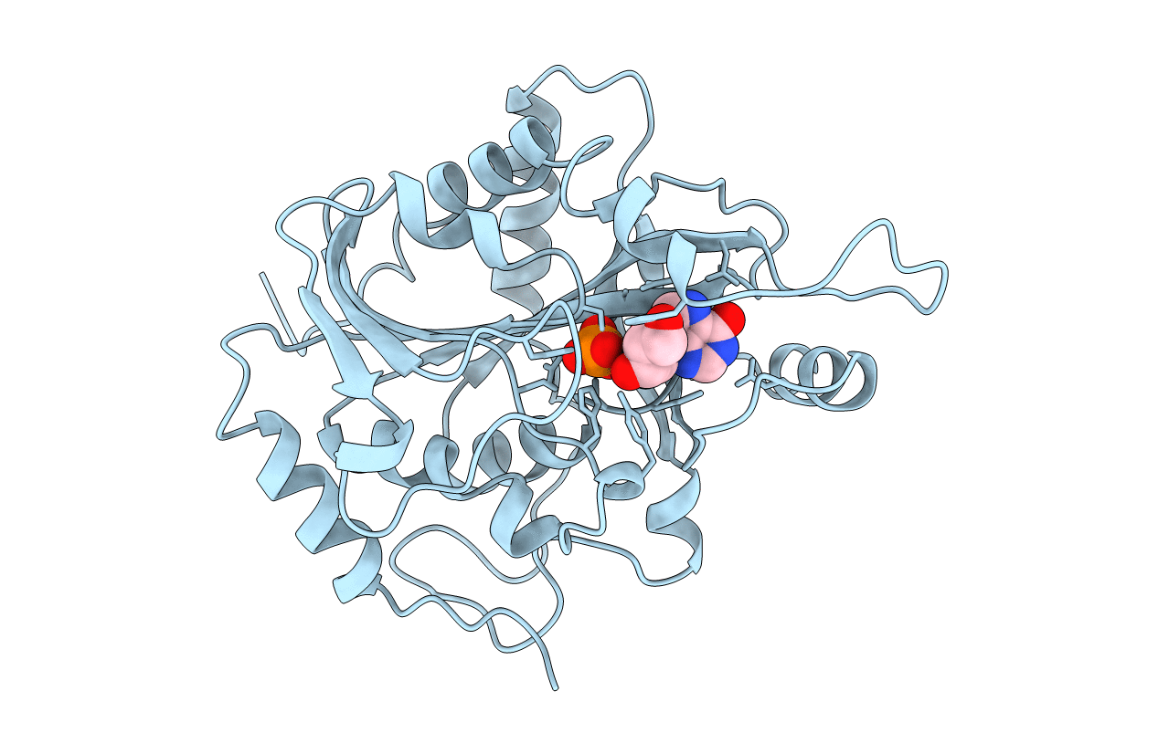 1A9P image