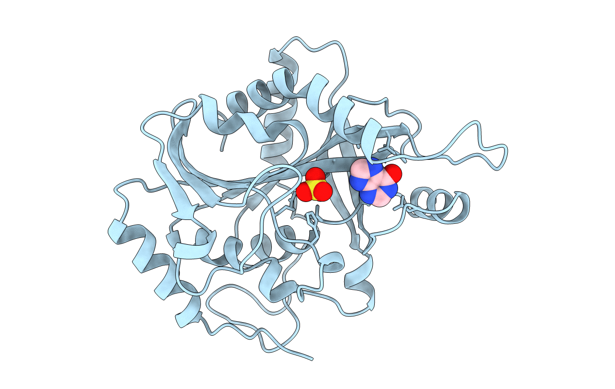 1A9R image