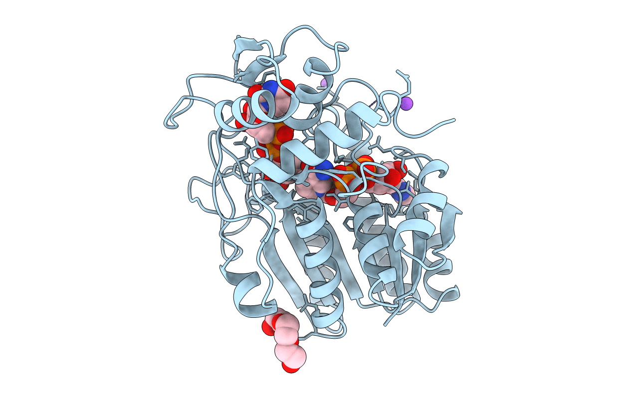 1A9Z image