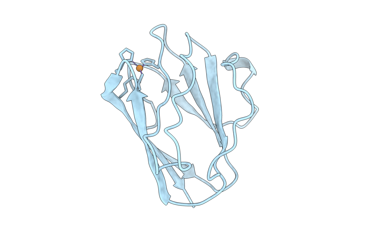 1AAC image