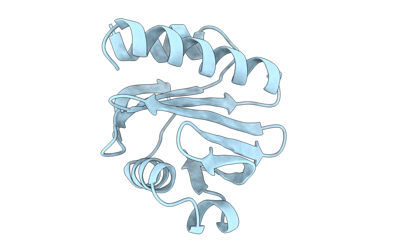 1ACF image