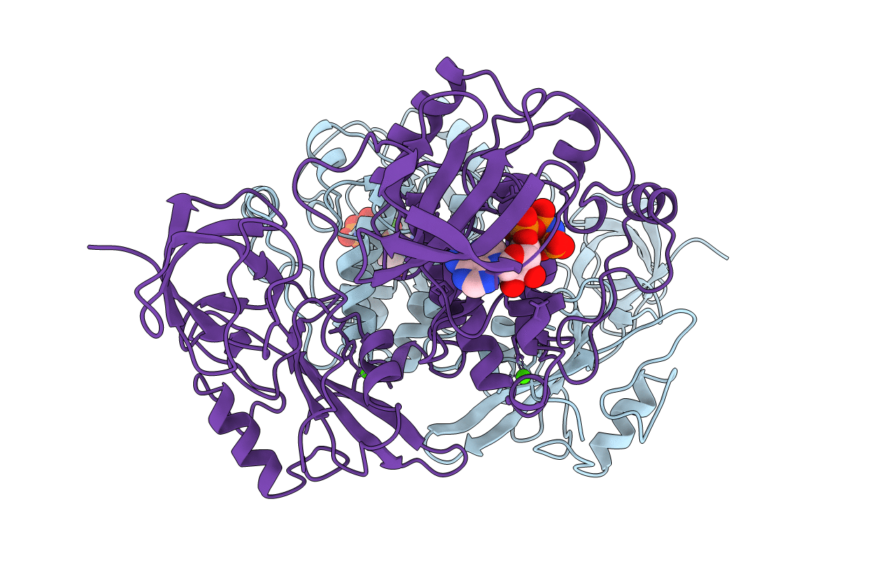 1AD5 image