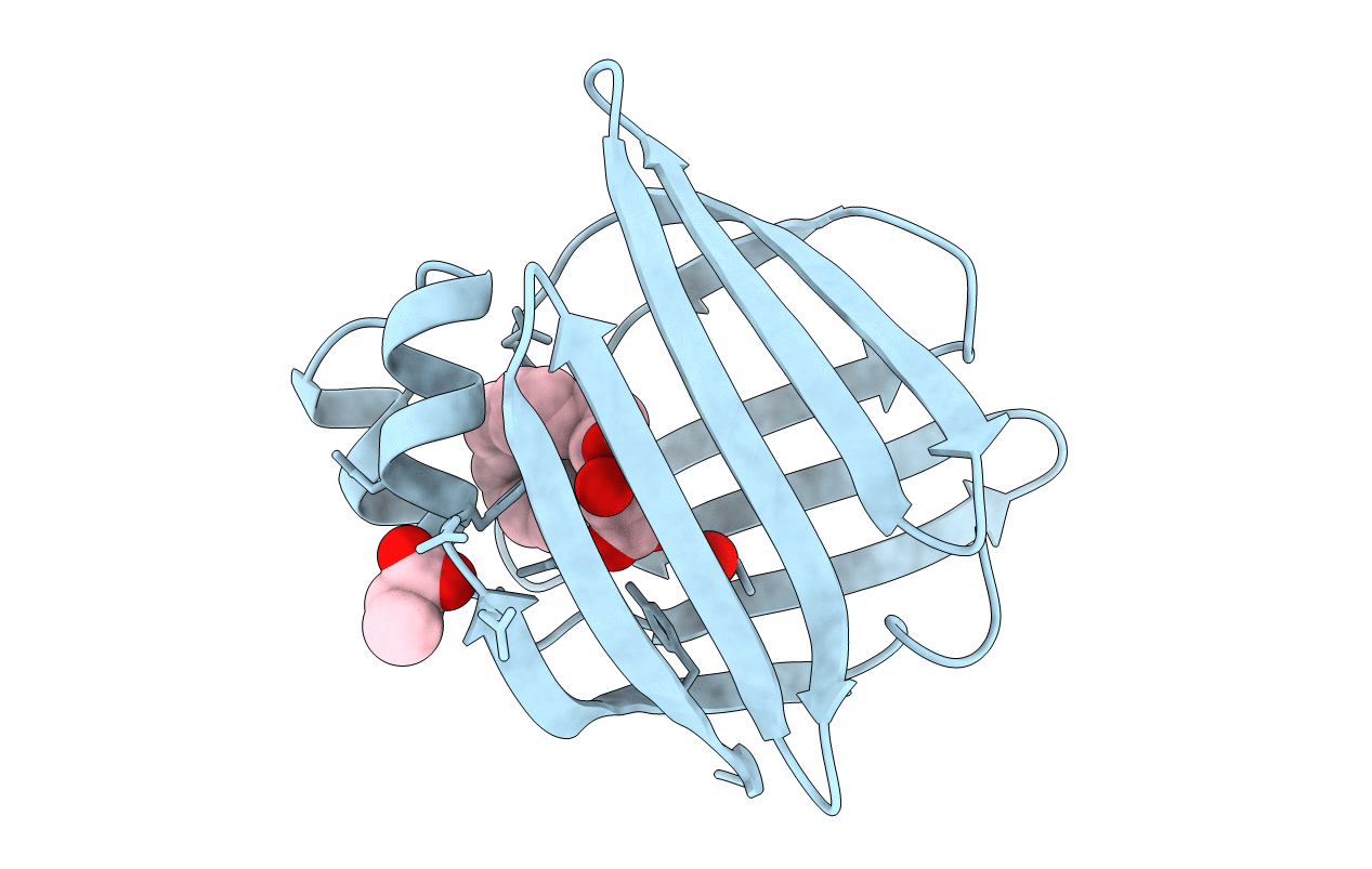 1ADL image