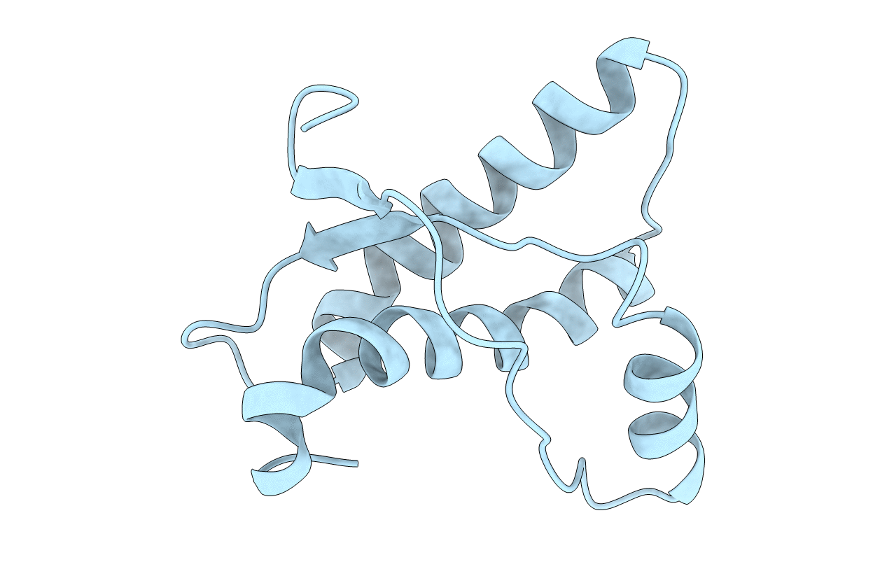 1AG2 image