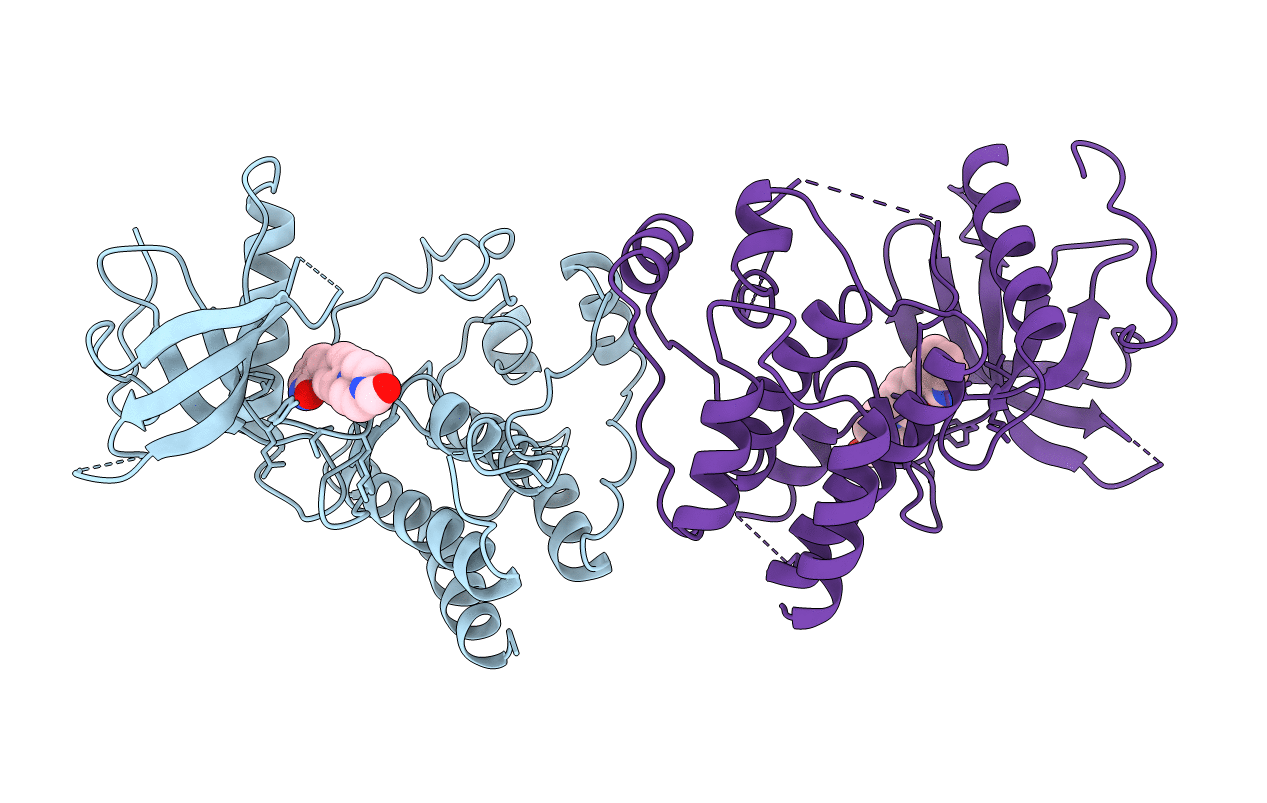 1AGW image