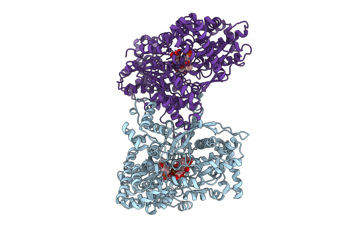 1AHP image