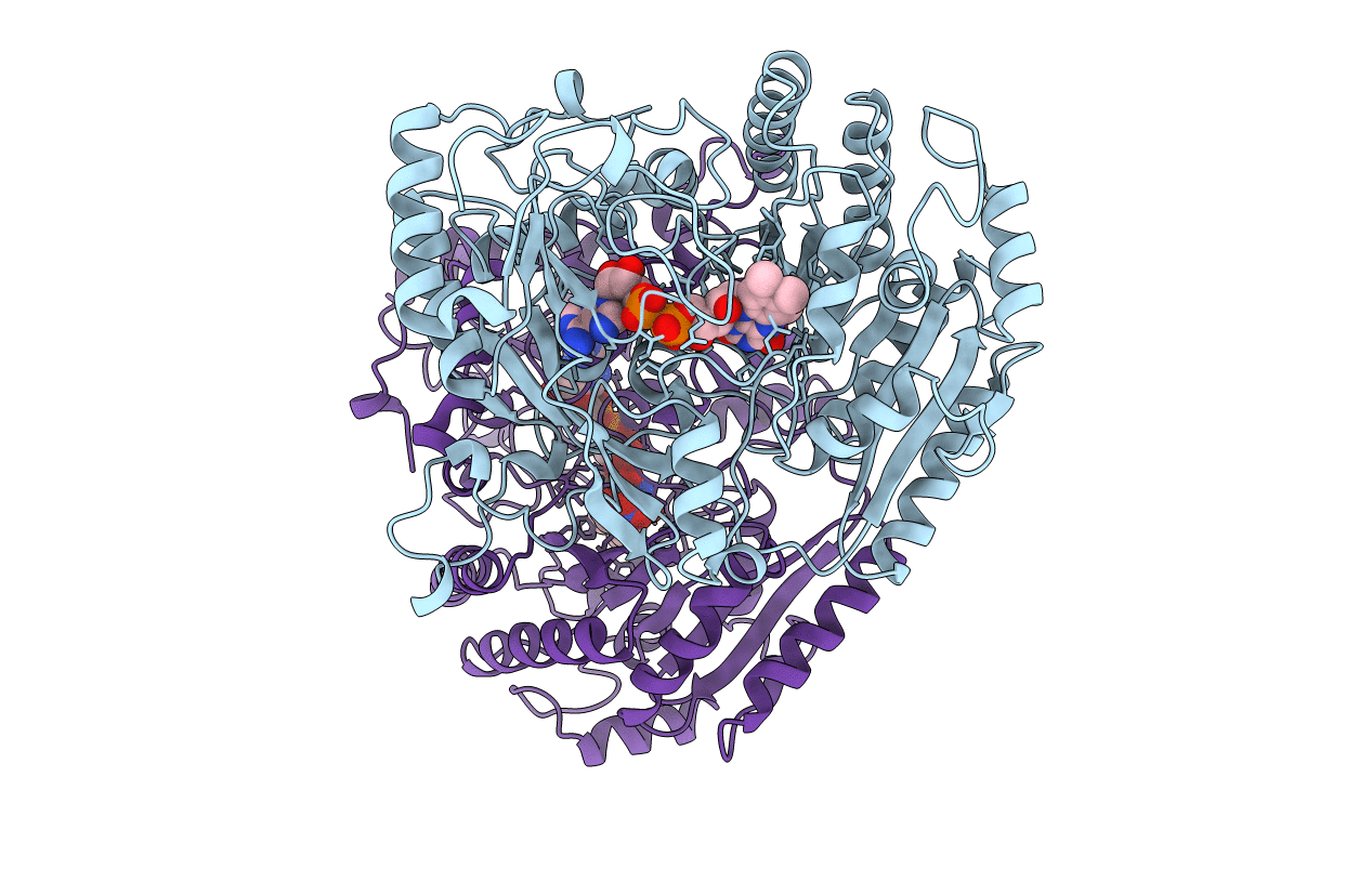 1AHV image