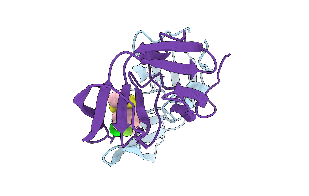 1AID image