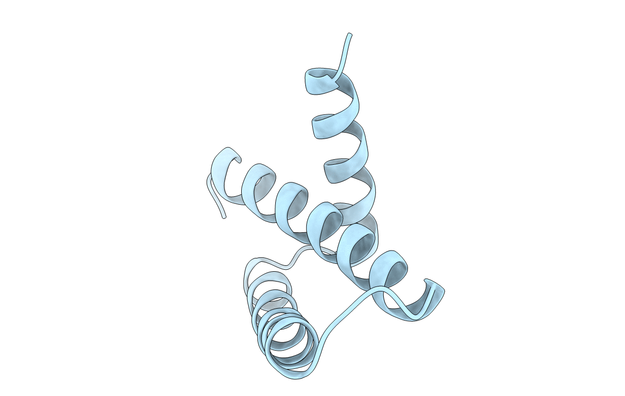 1AIL image