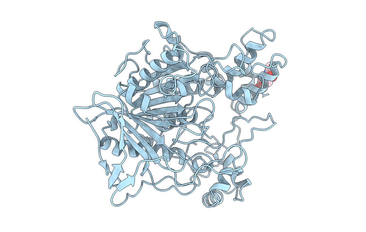 1AKN image