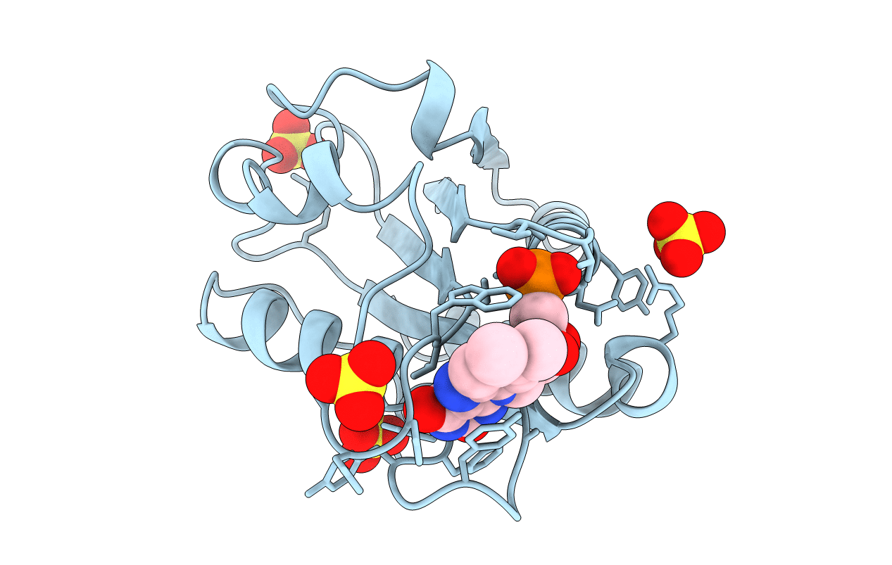 1AKV image