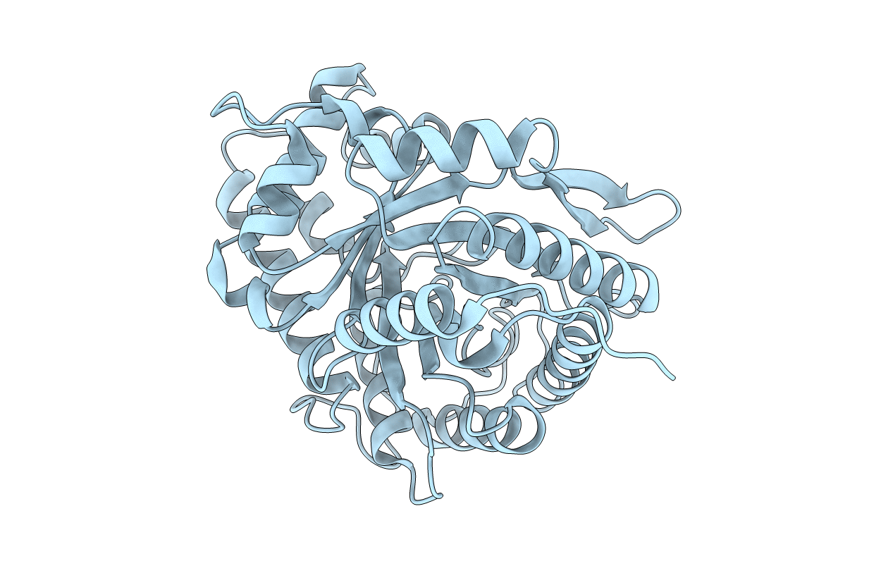 1ALD image