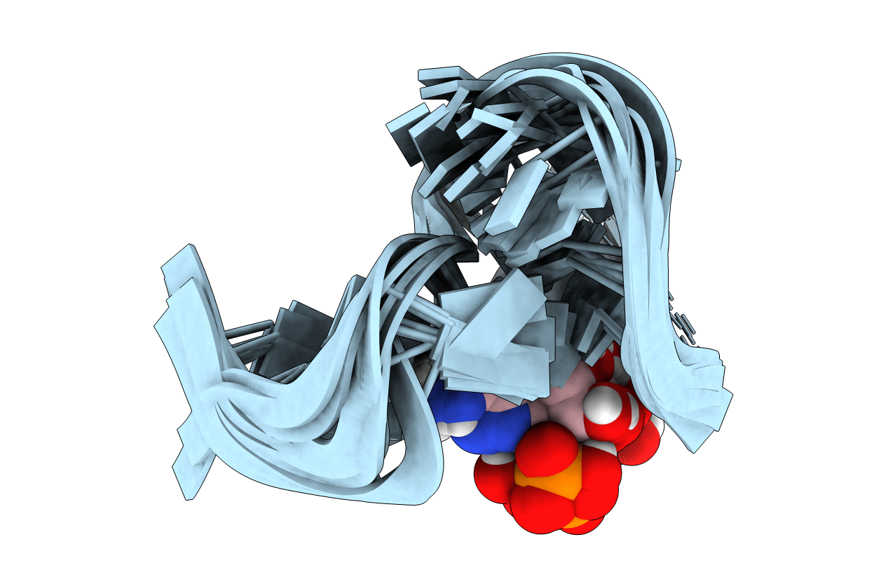 1AM0 image