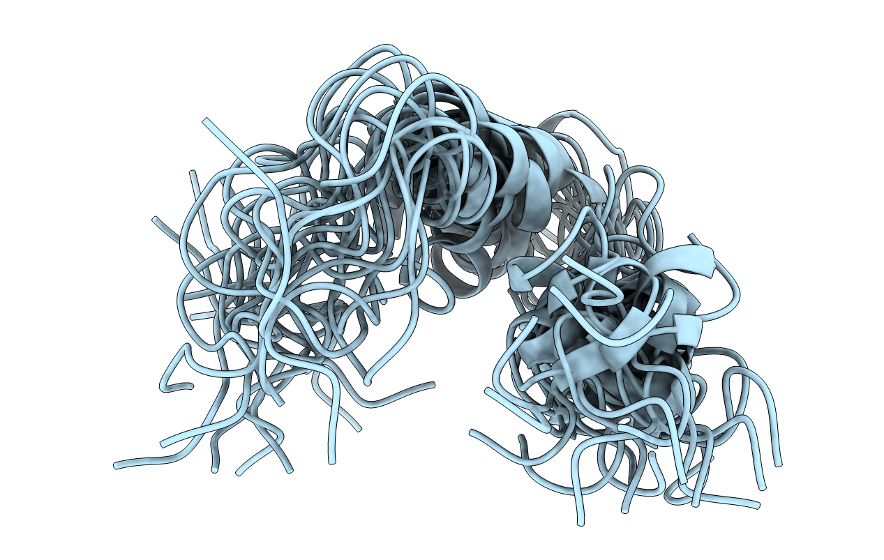 1AML image
