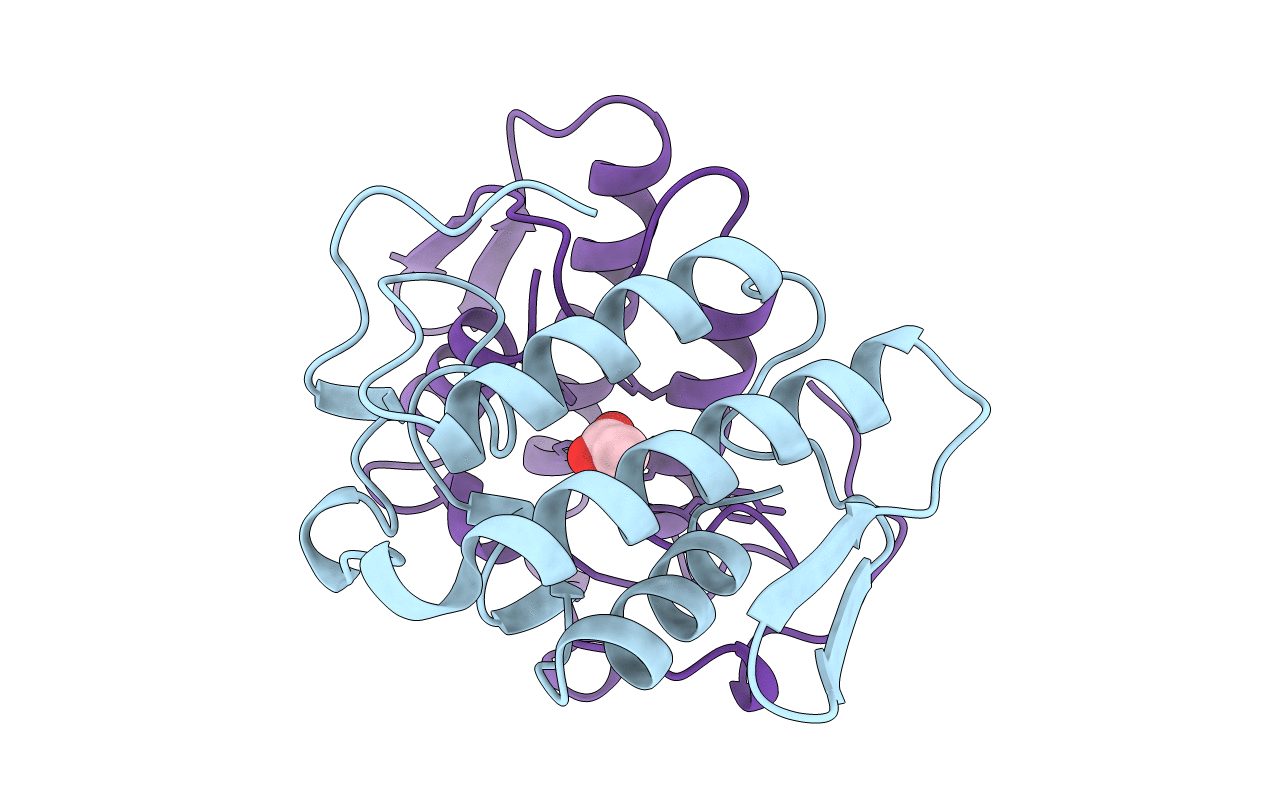 1AOK image