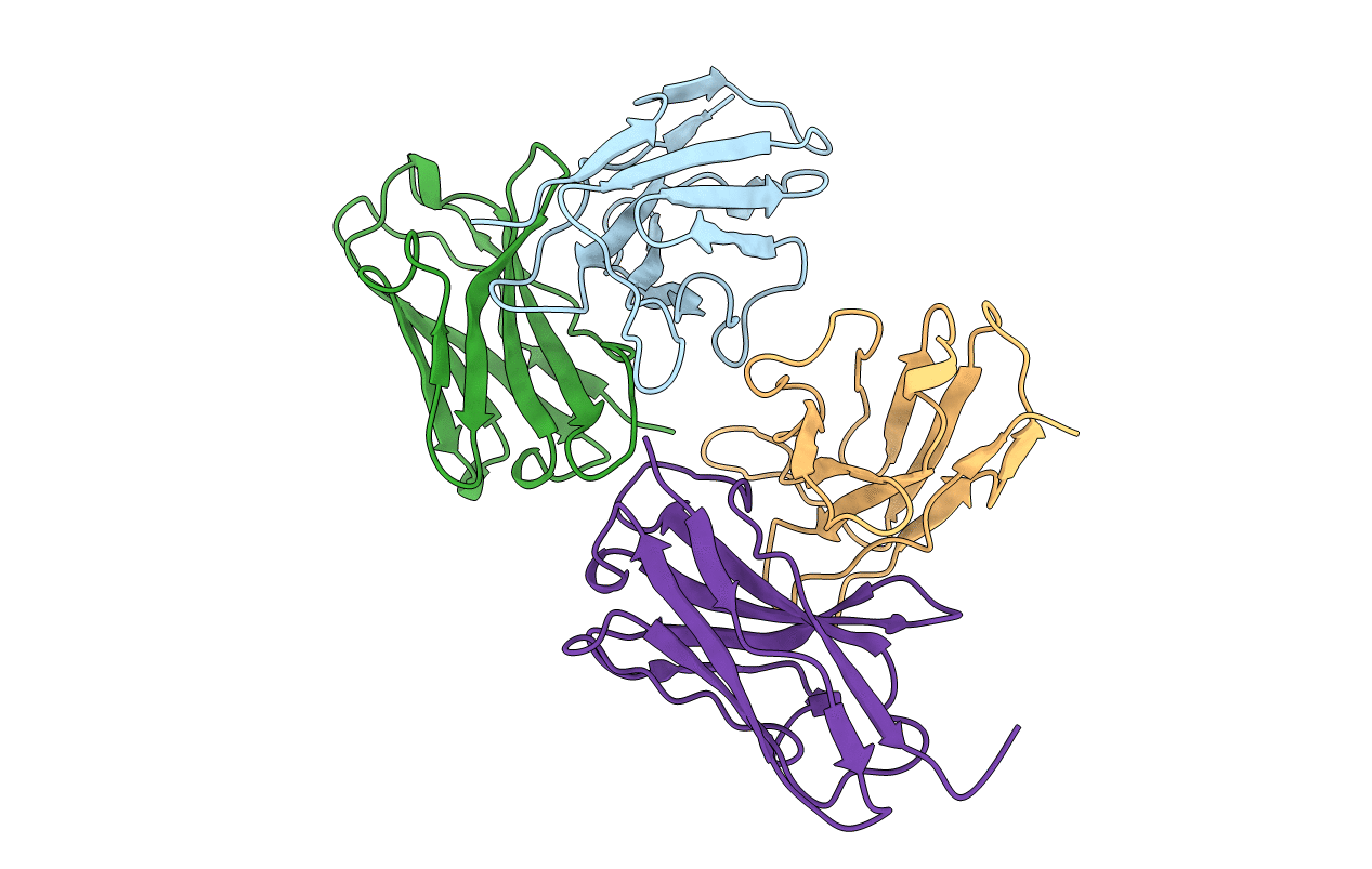 1AP2 image