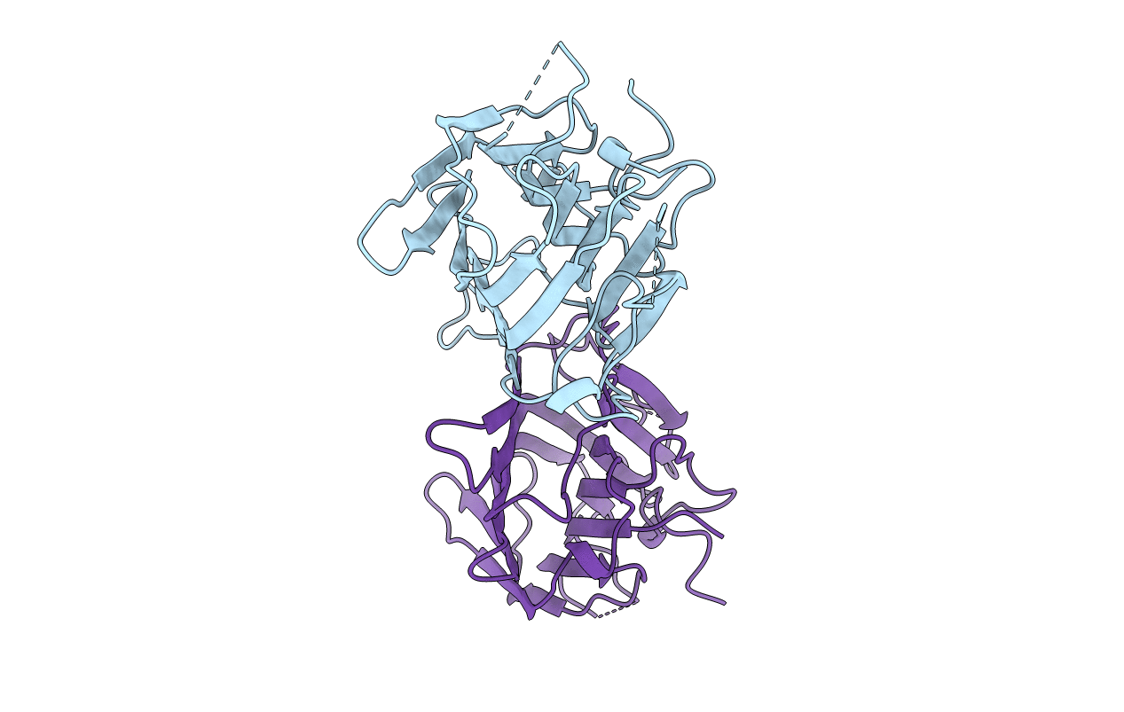 1APN image