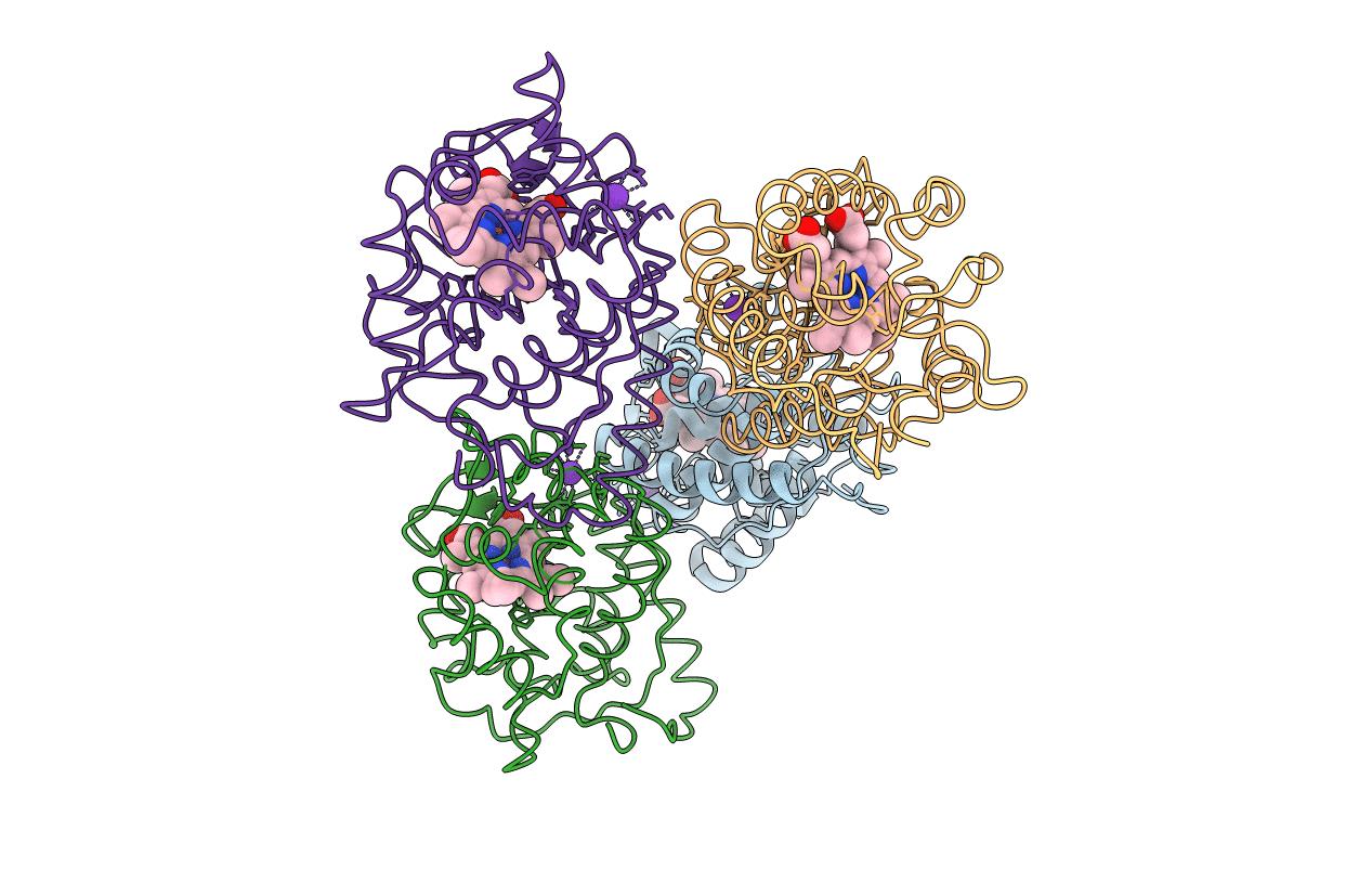 1APX image