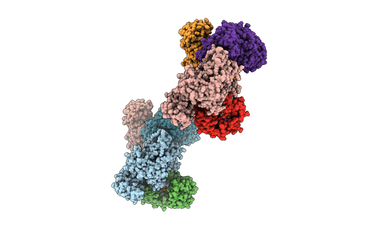 1AQF image