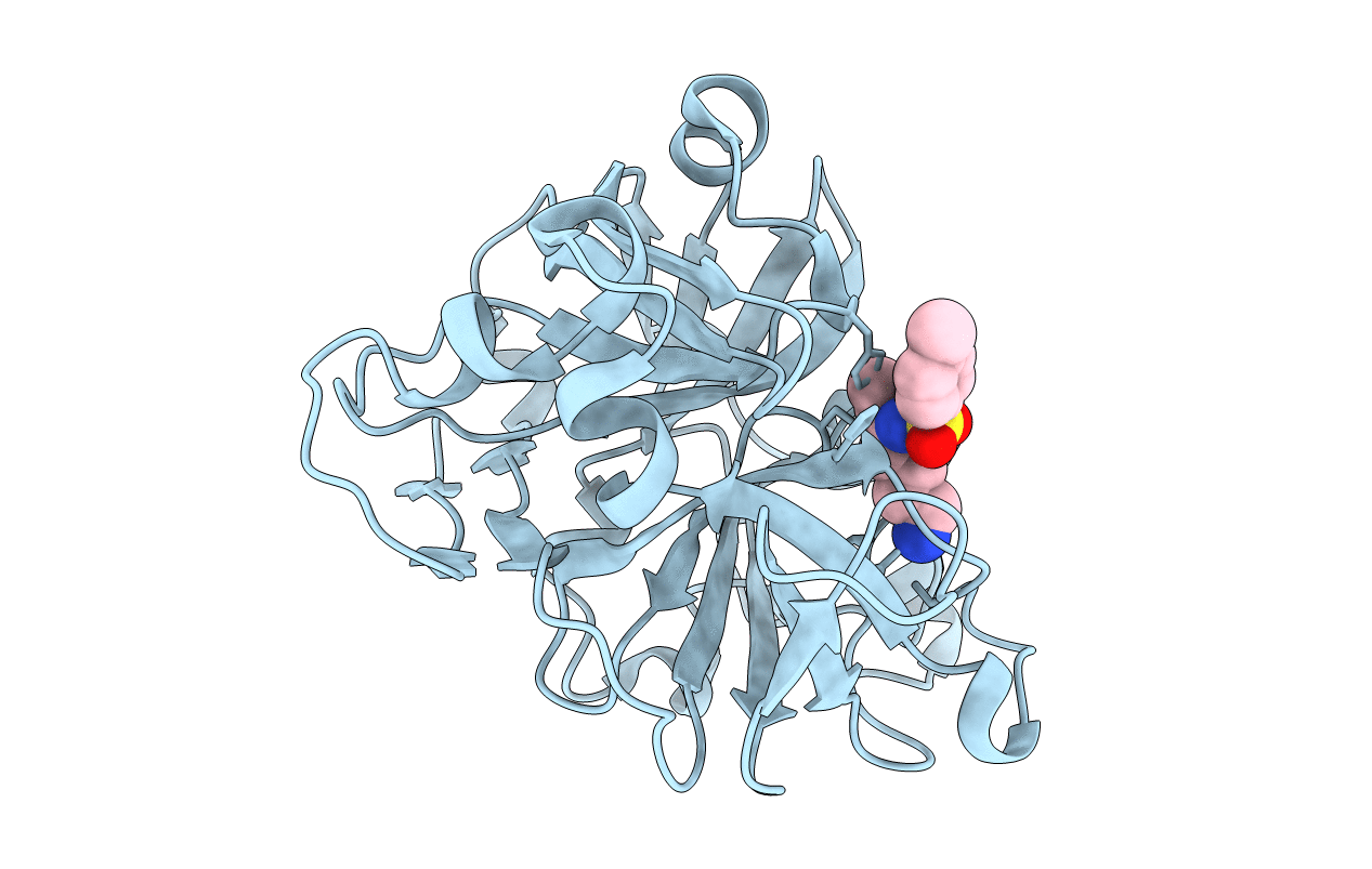 1ARC image