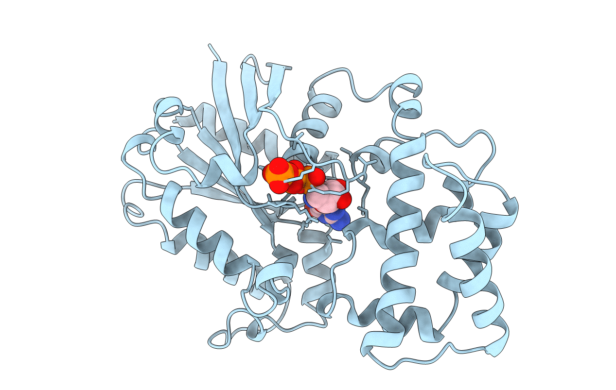 1AS2 image