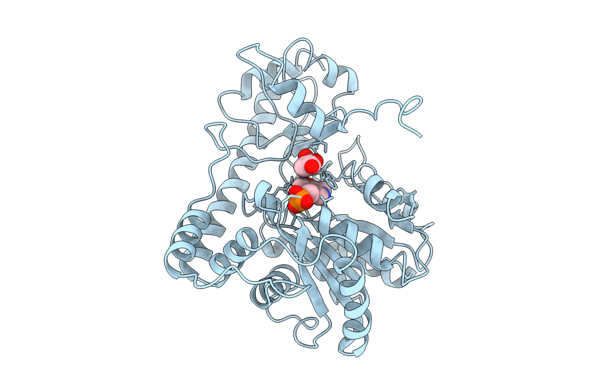 1ASB image