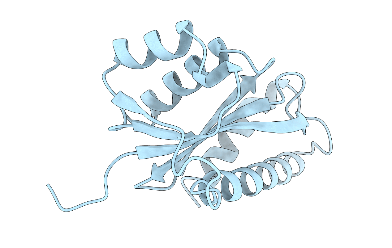 1ASV image