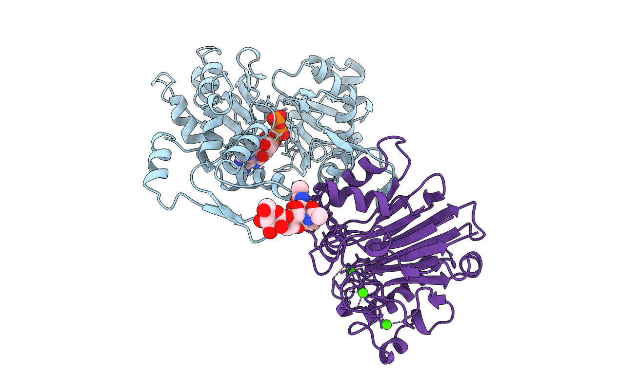 1ATN image
