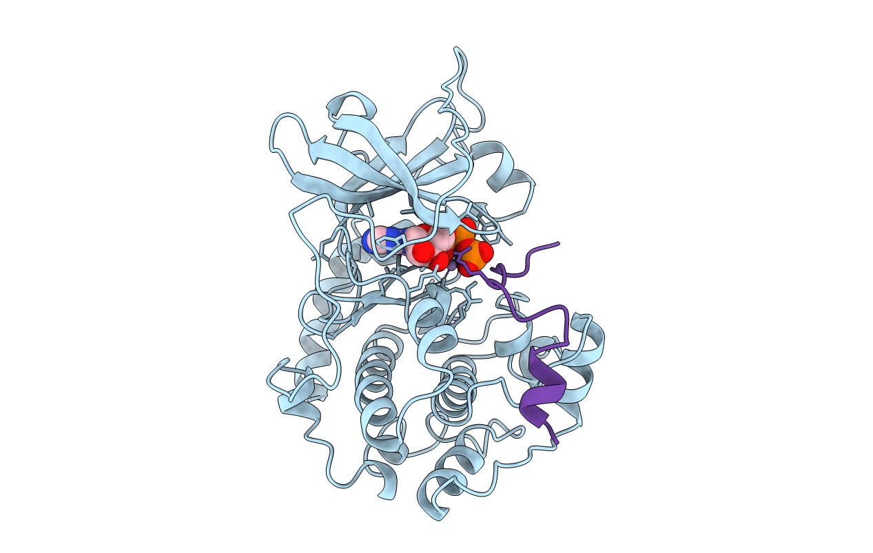 1ATP image