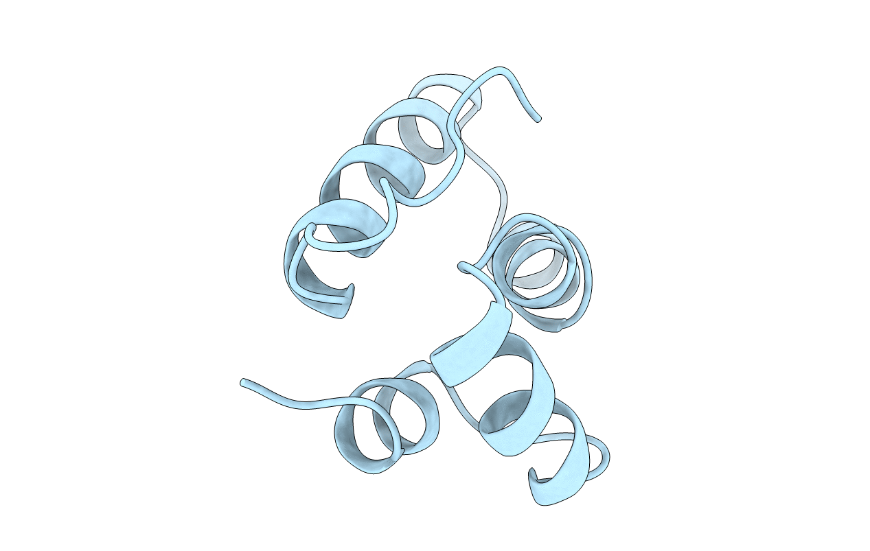 1AUM image