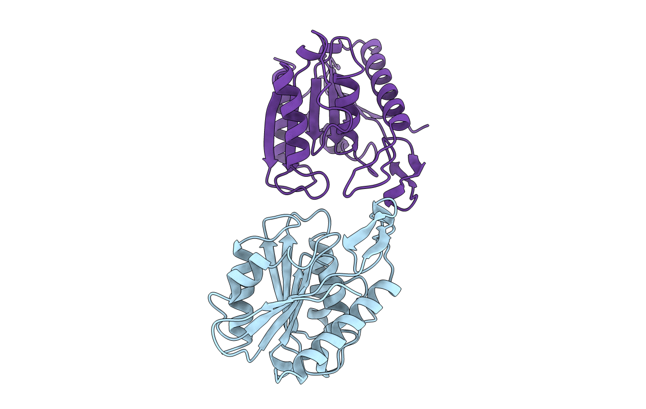 1AUO image