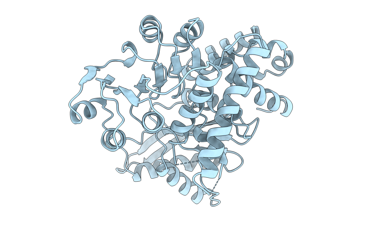 1AUP image