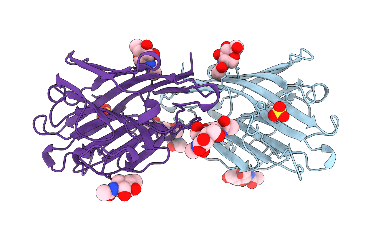 1AVB image
