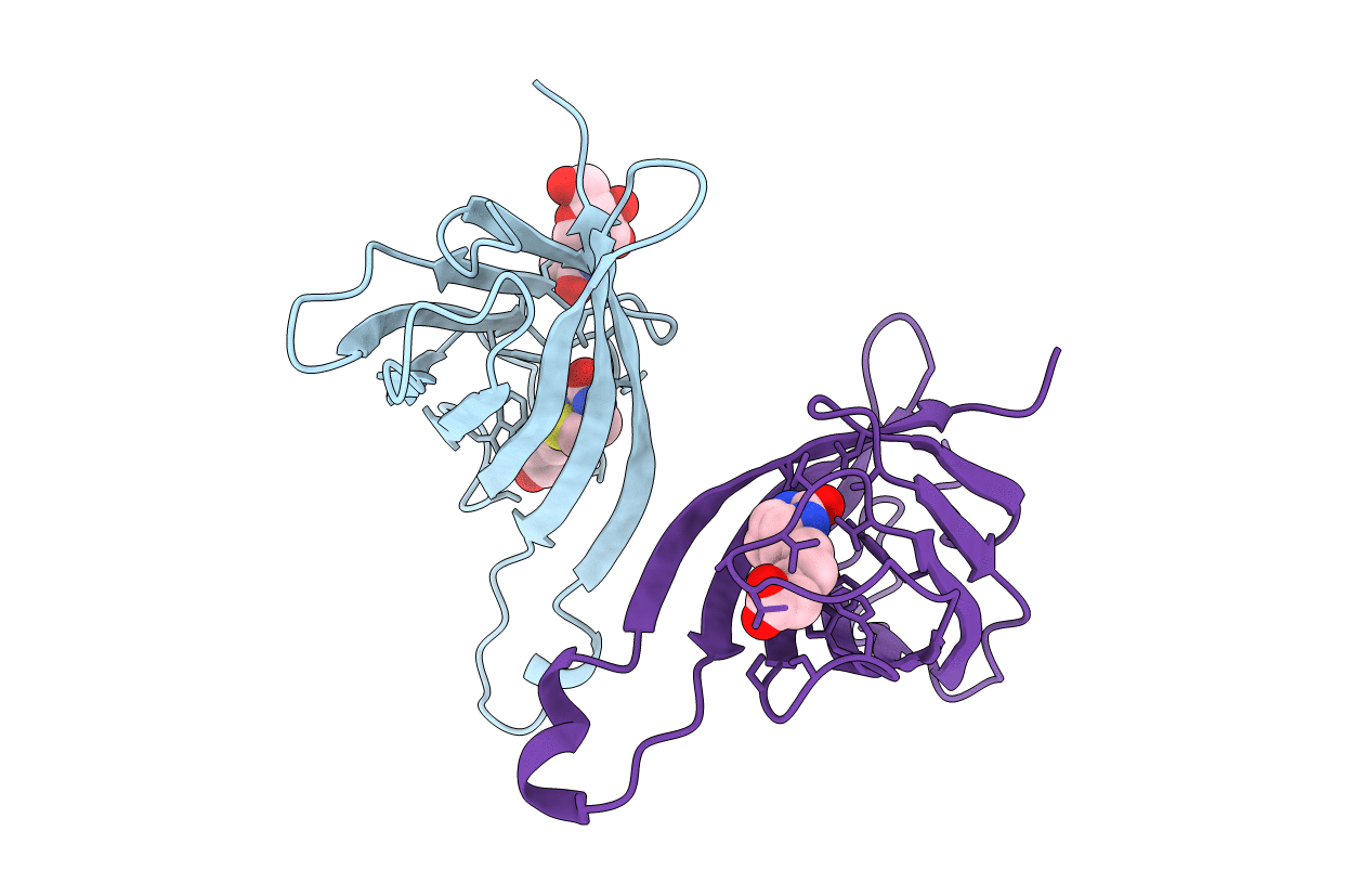 1AVD image