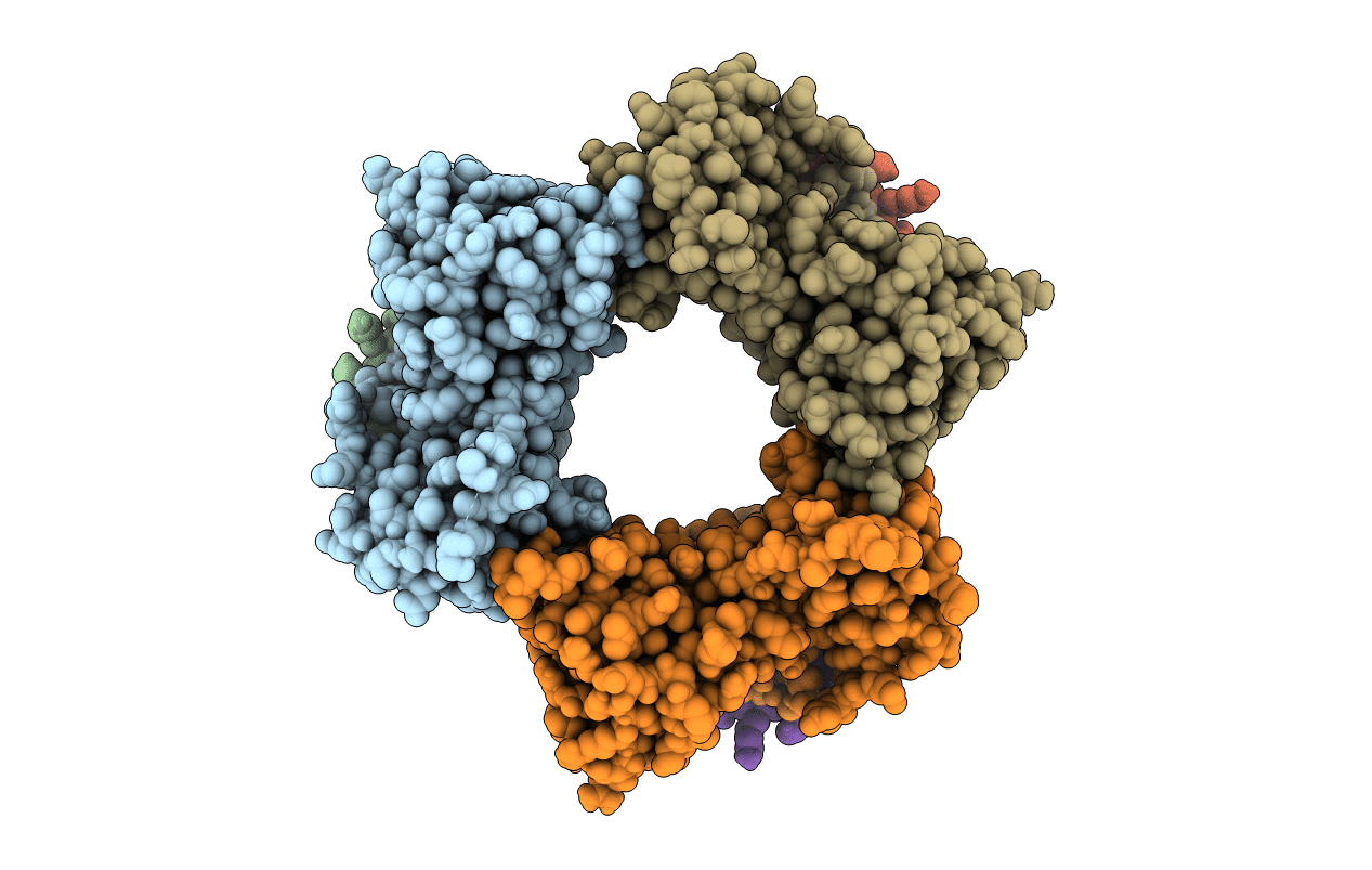 1AXC image