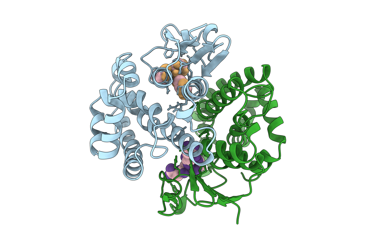1AXD image