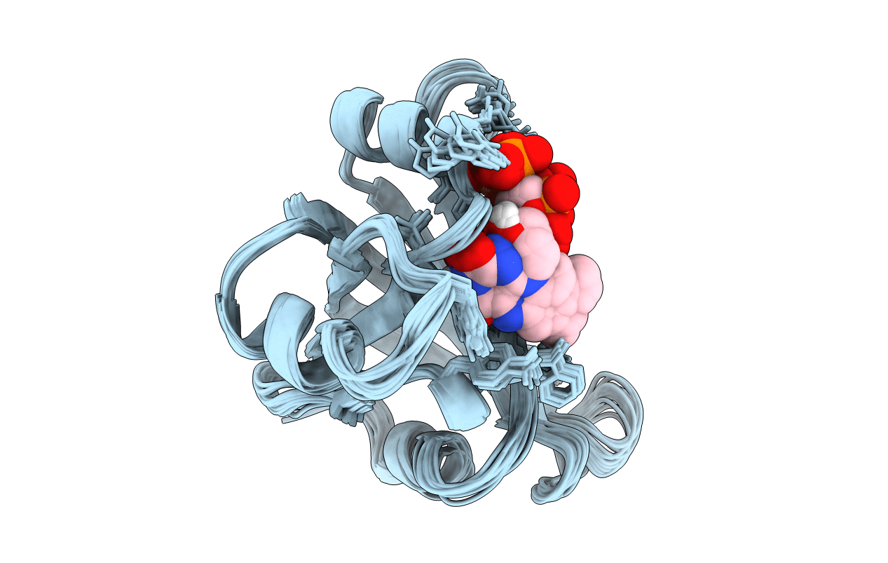 1AXJ image