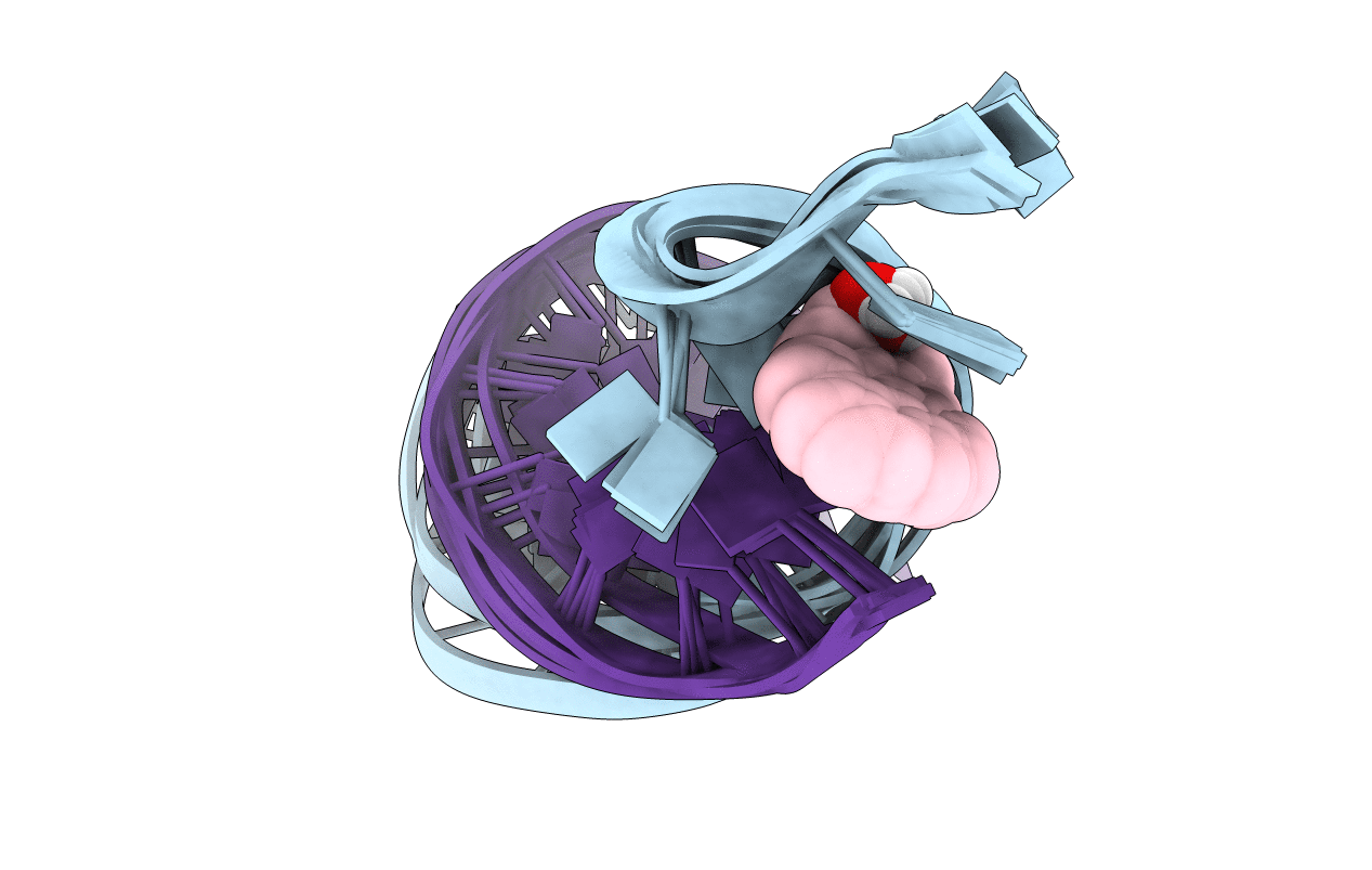 1AXO image