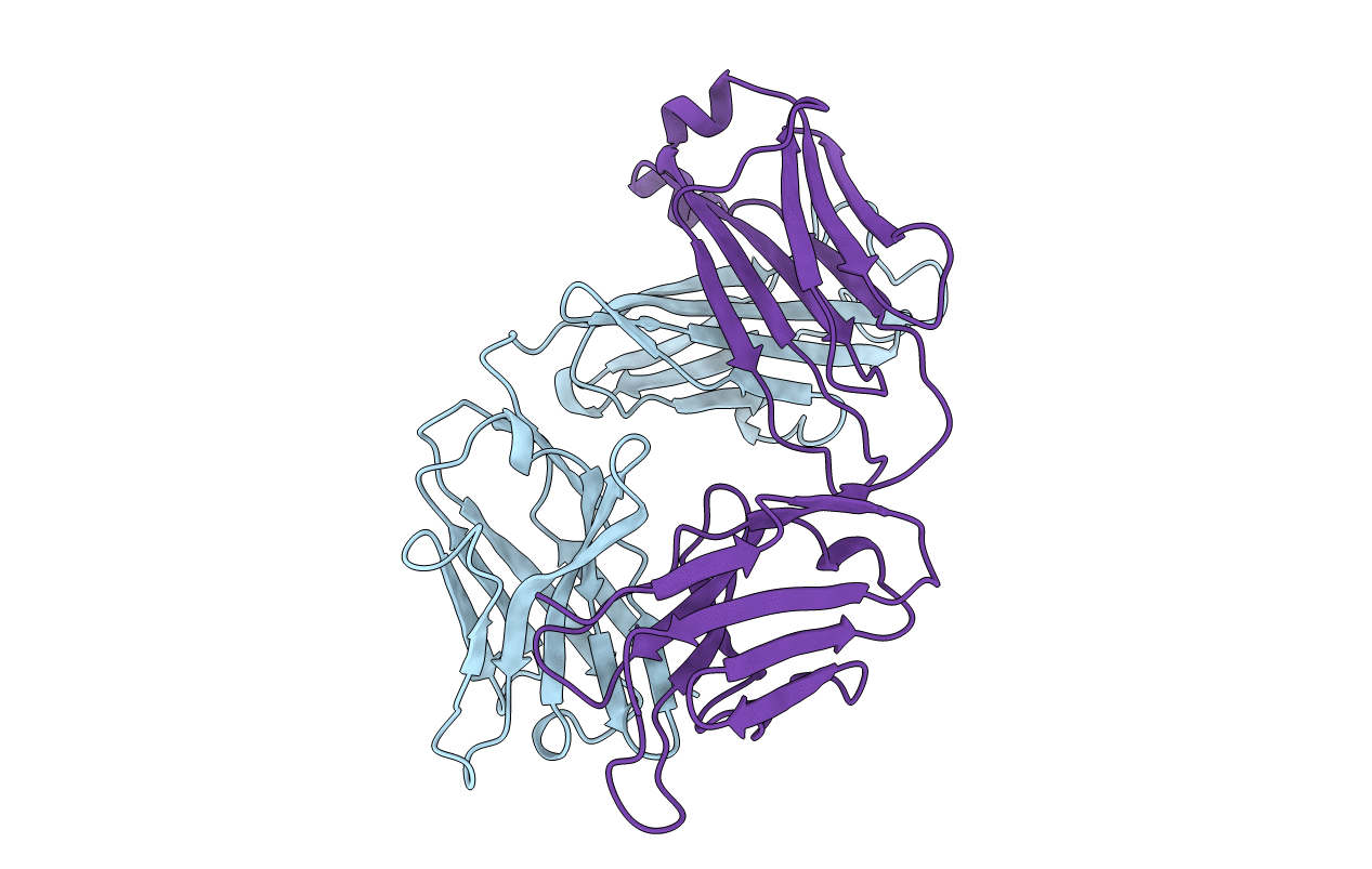 1axt image