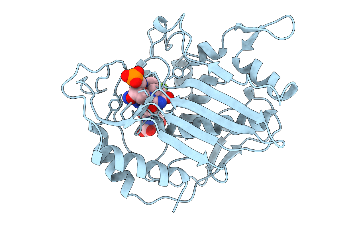 1B02 image