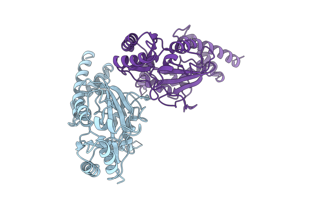 1B04 image