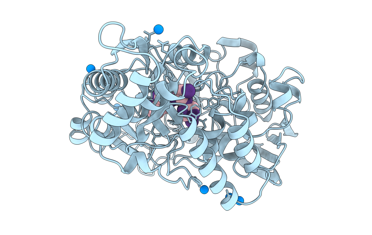 1B05 image